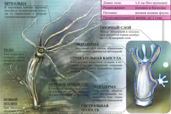 Купить наркотики томск