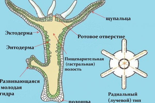 Kraken зеркало стор