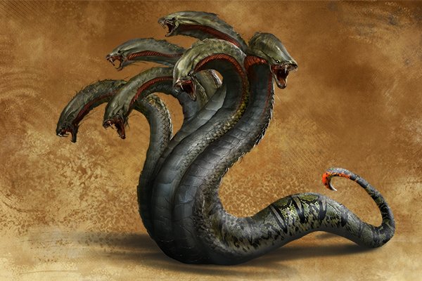 Kraken 12g