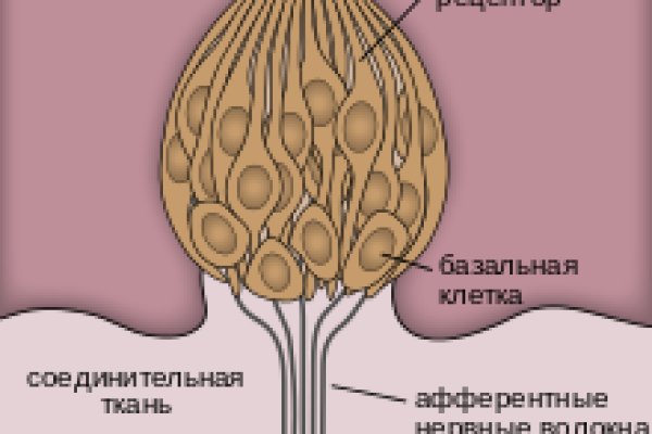 Кракен маркет тор