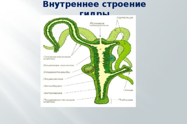 Kraken актуальное