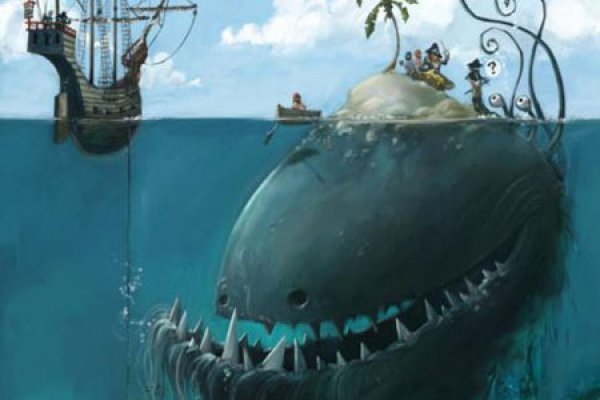 Kraken 24 top