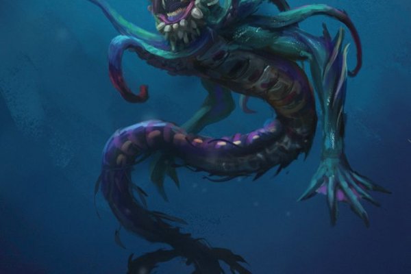 Kraken 17 at net