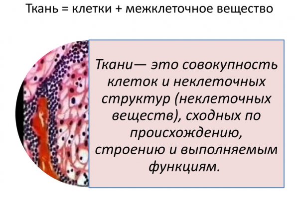 Kraken площадка
