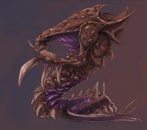 Kraken 26at